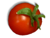 Captcha image 4819